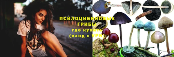 синтетический гашиш Алексин