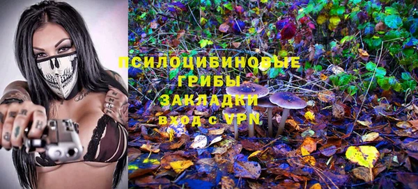 трава Абинск