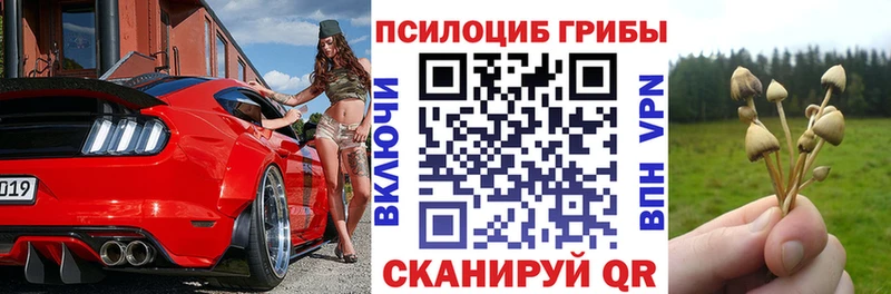 omg ссылки  Магадан  Псилоцибиновые грибы MAGIC MUSHROOMS 