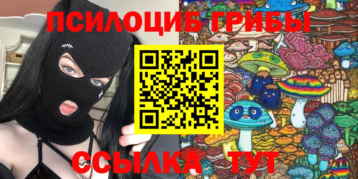 Галлюциногенные грибы Psilocybe  Вход с VPN  цены наркотик  Магадан 