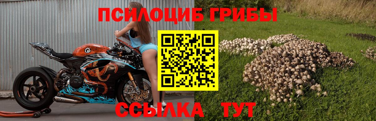 Галлюциногенные грибы ЛСД Магадан